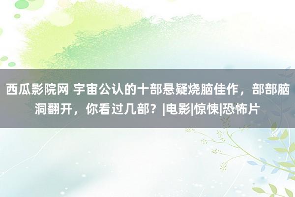 西瓜影院网 宇宙公认的十部悬疑烧脑佳作，部部脑洞翻开，你看过几部？|电影|惊悚|恐怖片