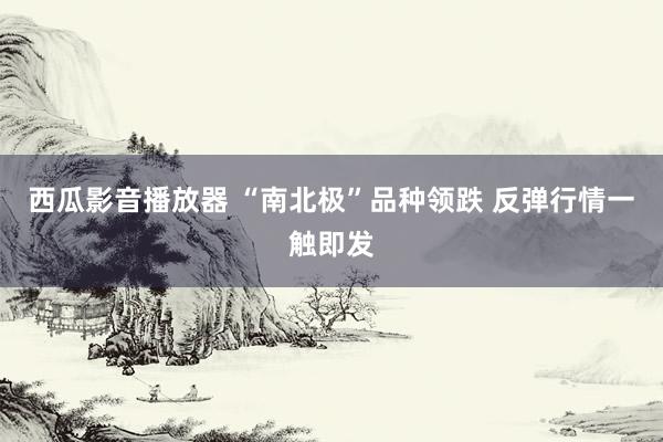 西瓜影音播放器 “南北极”品种领跌 反弹行情一触即发