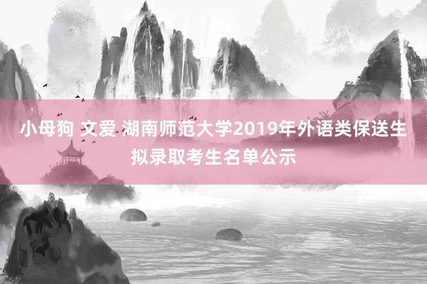 小母狗 文爱 湖南师范大学2019年外语类保送生拟录取考生名单公示