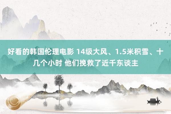好看的韩国伦理电影 14级大风、1.5米积雪、十几个小时 他们挽救了近千东谈主
