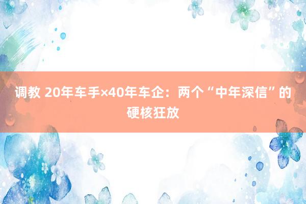 调教 20年车手×40年车企：两个“中年深信”的硬核狂放
