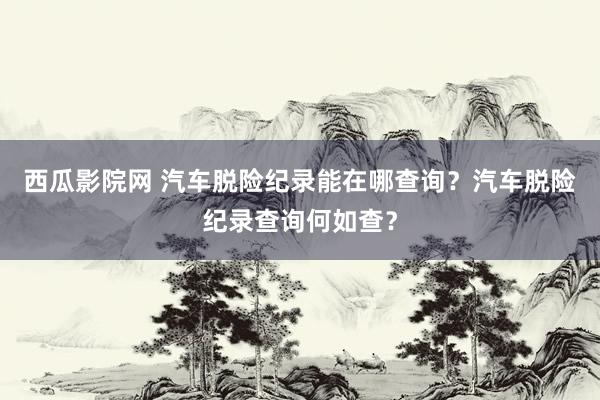 西瓜影院网 汽车脱险纪录能在哪查询？汽车脱险纪录查询何如查？