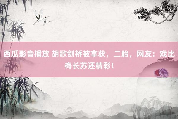 西瓜影音播放 胡歌剑桥被拿获，二胎，网友：戏比梅长苏还精彩！