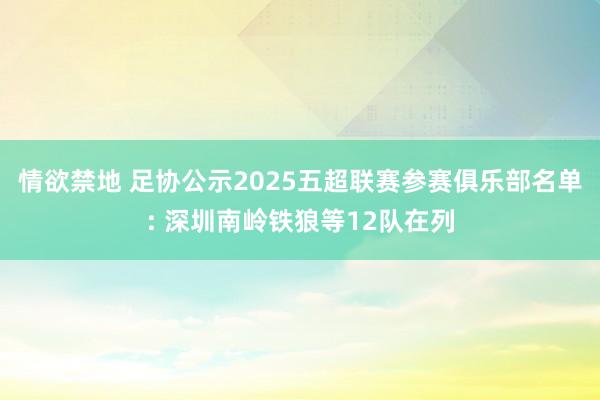 情欲禁地 足协公示2025五超联赛参赛俱乐部名单: 深圳南岭铁狼等12队在列