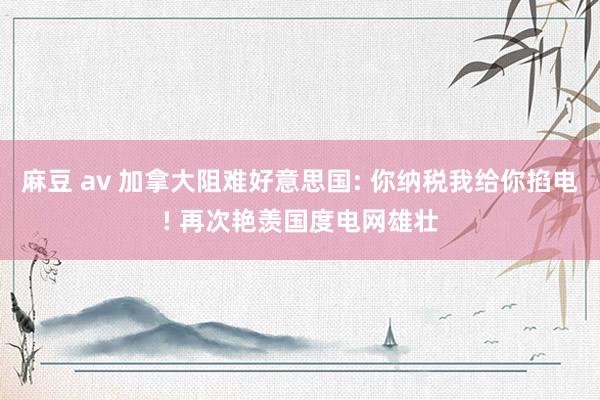 麻豆 av 加拿大阻难好意思国: 你纳税我给你掐电! 再次艳羡国度电网雄壮
