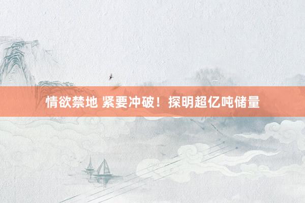 情欲禁地 紧要冲破！探明超亿吨储量
