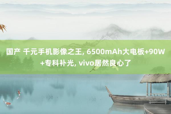国产 千元手机影像之王, 6500mAh大电板+90W+专科补光, vivo居然良心了