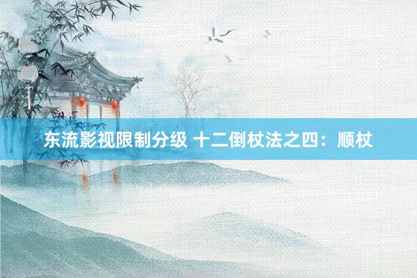 东流影视限制分级 十二倒杖法之四：顺杖
