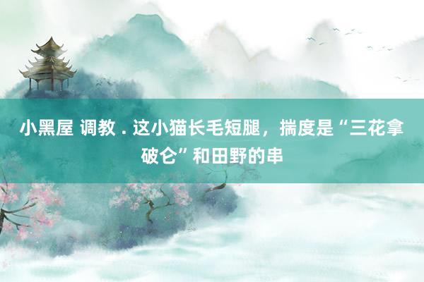 小黑屋 调教 . 这小猫长毛短腿，揣度是“三花拿破仑”和田野的串