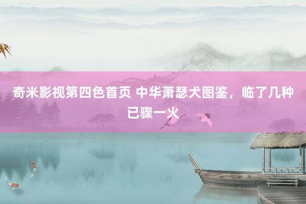 奇米影视第四色首页 中华萧瑟犬图鉴，临了几种已骤一火