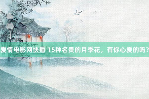 爱情电影网快播 15种名贵的月季花，有你心爱的吗？