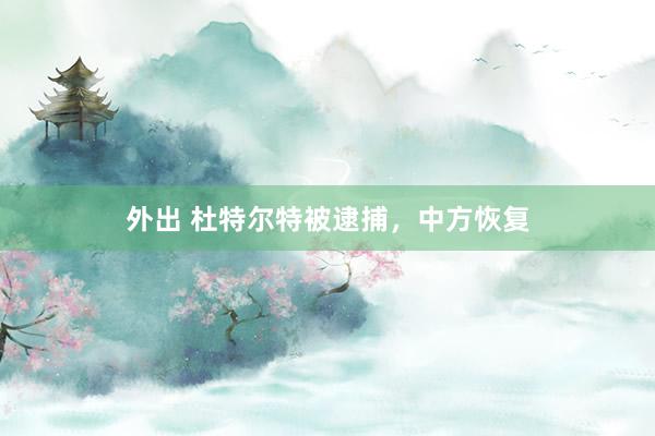 外出 杜特尔特被逮捕，中方恢复