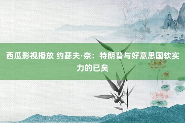 西瓜影视播放 约瑟夫·奈：特朗普与好意思国软实力的已矣
